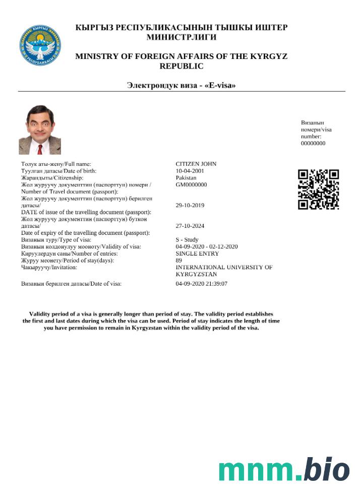 Szablon e-visa do Kirgistanu